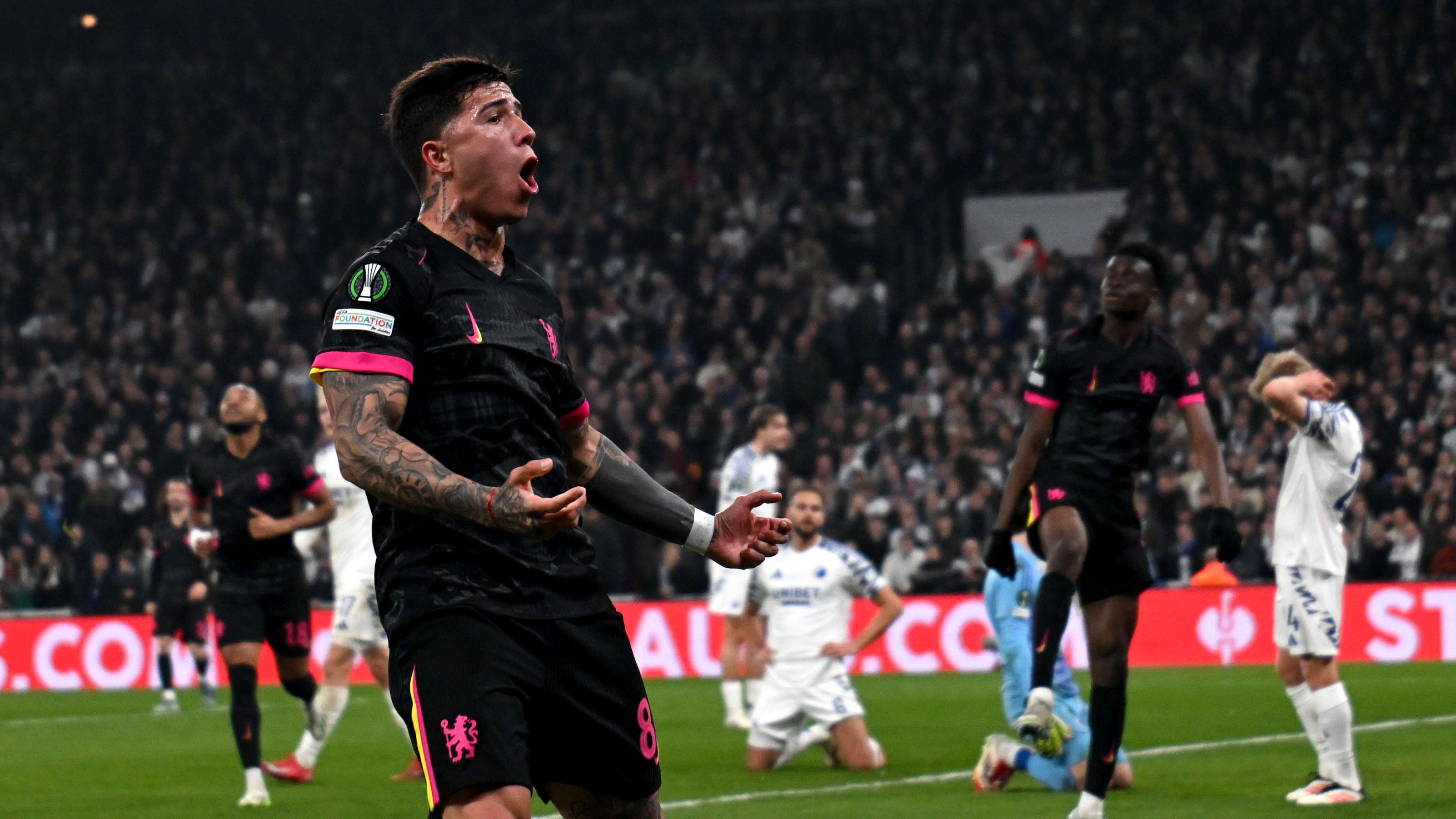 性的选择 性的选择