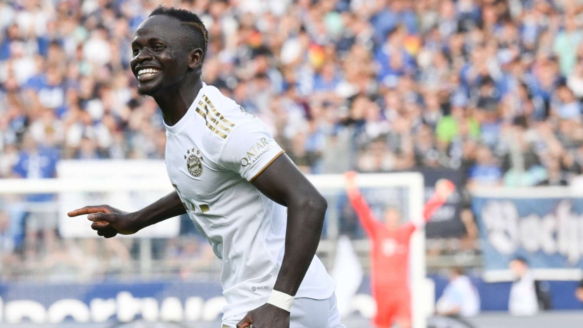 球迷的狂热 球迷的狂热